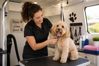 mobile pet grooming 230k - 1