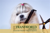 successful pet grooming business - 1