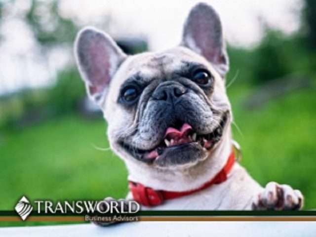 Profitable Pet Fencing Dealership – Established Territory