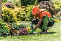 landscape company long established - 1