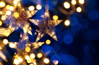 landscaping holiday lighting business - 1
