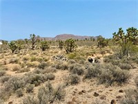 plot of land available - 3