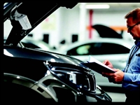 established auto appraisal litigation - 1