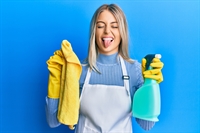 lucrative online cleaning business - 1