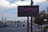 phoenix topless strip club - 1