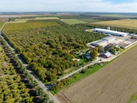 walnut processing facility orchard - 2