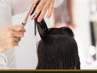thriving salon business sedgwick - 1