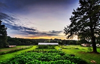 organic farm brewery restaurant - 2