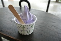 frozen yogurt shop montgomery - 1