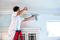 painting business start-up arlington - 1