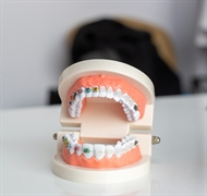 niche dental business new - 1