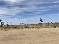 plot of land available - 2