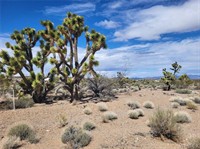 plot of land available - 2
