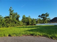 0 31 acre cul-de-sac - 1