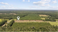 plot of land nichols - 3