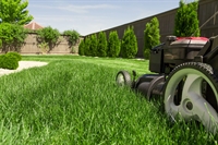 profitable well-established lawn care - 1