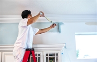 established residential painting business - 1