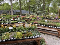 texoma retail commercial garden - 1