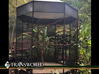 cage masters established specialty - 1
