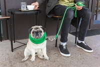 one-of-a-kind dog-friendly café community - 1