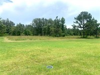 plot of land available - 3