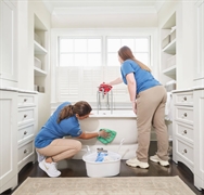 established residential cleaning franchise - 1