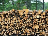 niche manufacturer sustainable wood - 1