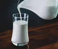 raw milk transport wholesale - 1