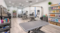 high-margin pet grooming salon - 1
