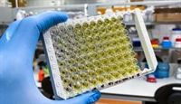 norcal clinical laboratory with - 1
