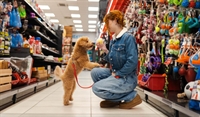 established pet retail business - 1