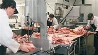 usda approved meat processing - 1