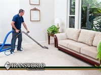 high profit eco cleaning - 1