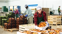 busy wholesale produce company - 1