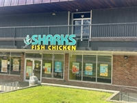 well-established shark s fish - 1
