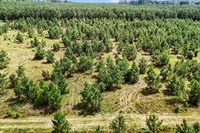 plot of land wagener - 3