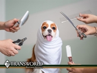 6-year established dog boarding - 1