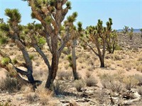 plot of land available - 2
