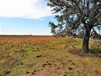 10 acre agricultural land - 2