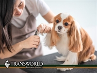 pet supplies grooming - 1