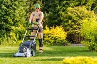 established landscaping business missouri - 1