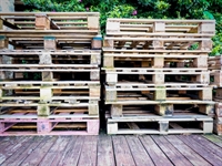 distribution wood pallet business - 1
