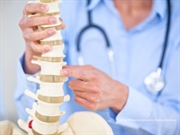 renowned chiropractic office prime - 1