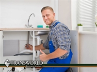 established handyman business for - 1