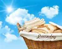 modernized laundromat - 1