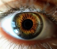 lash studio - 1