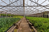 4 5-acres with a - 1