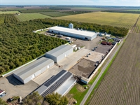 walnut processing facility orchard - 1