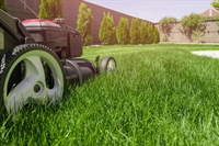 high-end winter park landscaping - 1