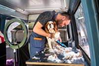 absentee mobile petgrooming 7 - 1